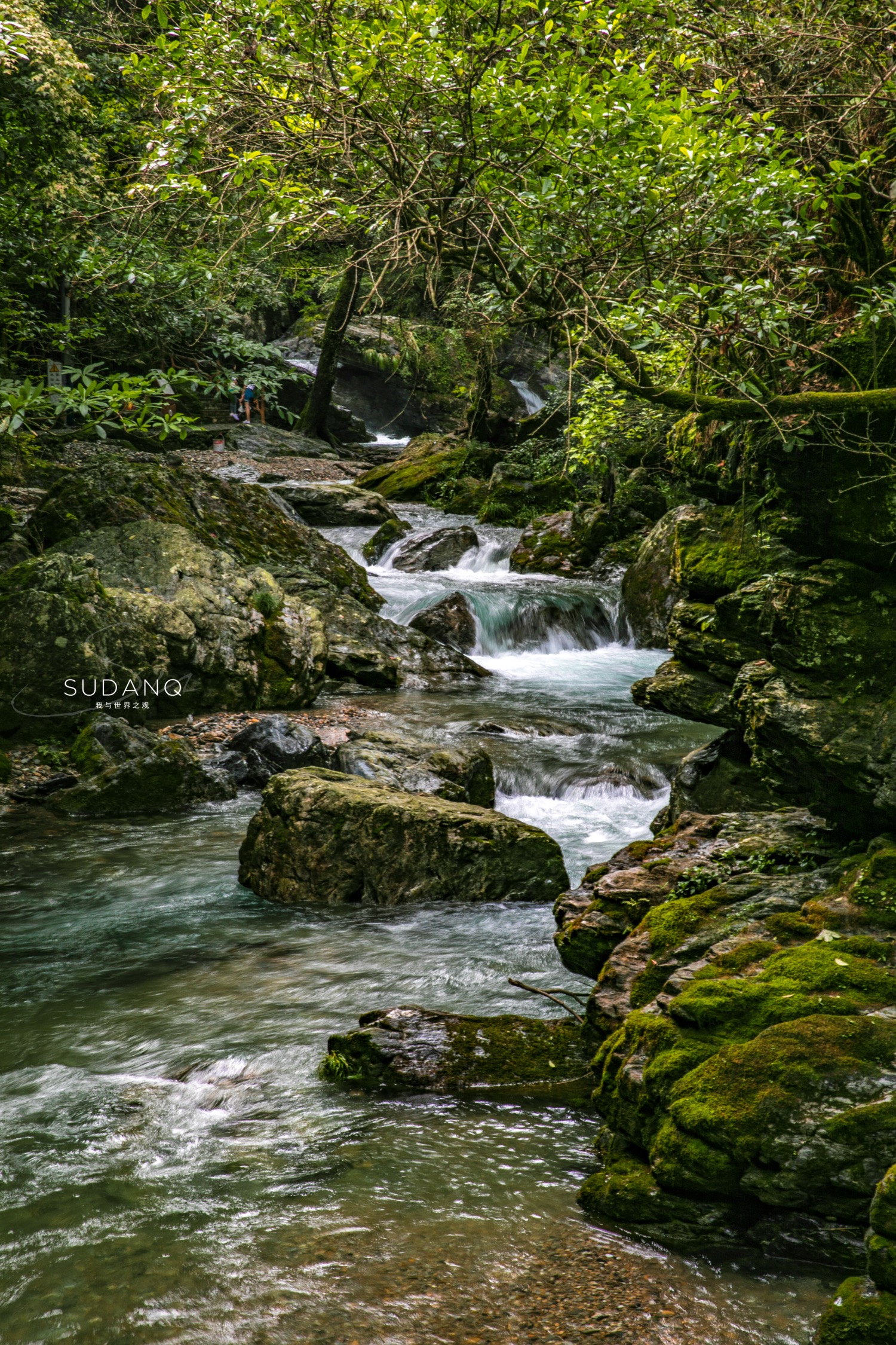 仙寓山泉能补硒?。ㄏ稍⑸轿瓒嗌偾唤铮?硒宝网
