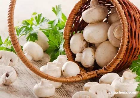 肝癌病人需补硒吗(肝癌补硒)-硒宝网