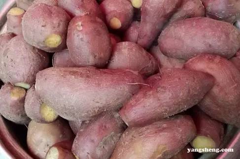 肝癌病人需补硒吗(肝癌补硒)-硒宝网