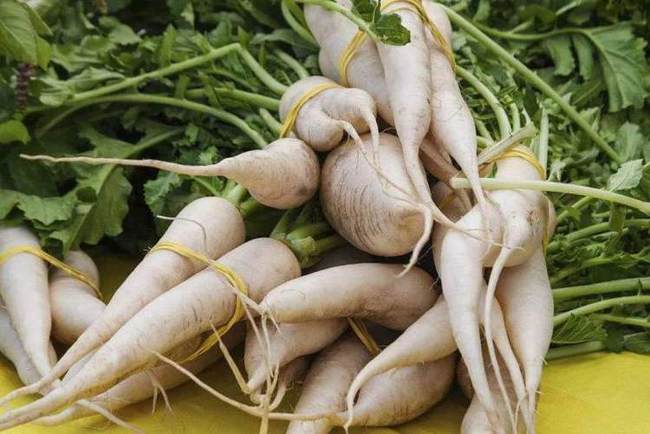 舌苔厚能不能补硒（舌苔应该吃什么）-硒宝网