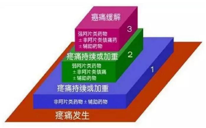 补硒后身体重减轻(补硒后身体的调整反应)-硒宝网