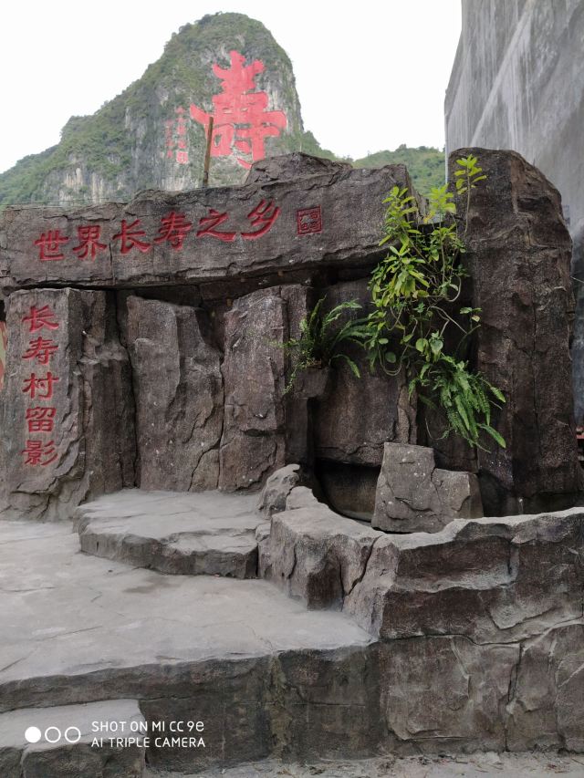 癌症患者一天补硒(癌症患者每天补硒不能超过多少)-硒宝网