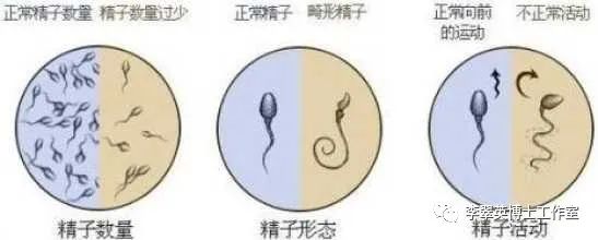 弱精补硒吃什么药（补硒的药物发胖吗）-硒宝网