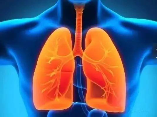 肺部疾病患者补硒(补硒对肺癌有好处吗)-硒宝网