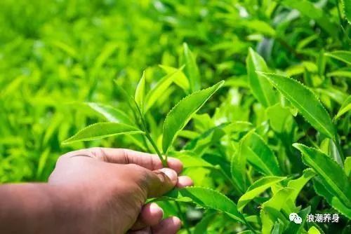 乳腺癌补硒好大夫(乳腺癌补硒一天用量是多少)-硒宝网