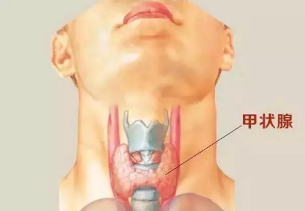 单纯甲减要补硒吗（补硒甲减）-硒宝网