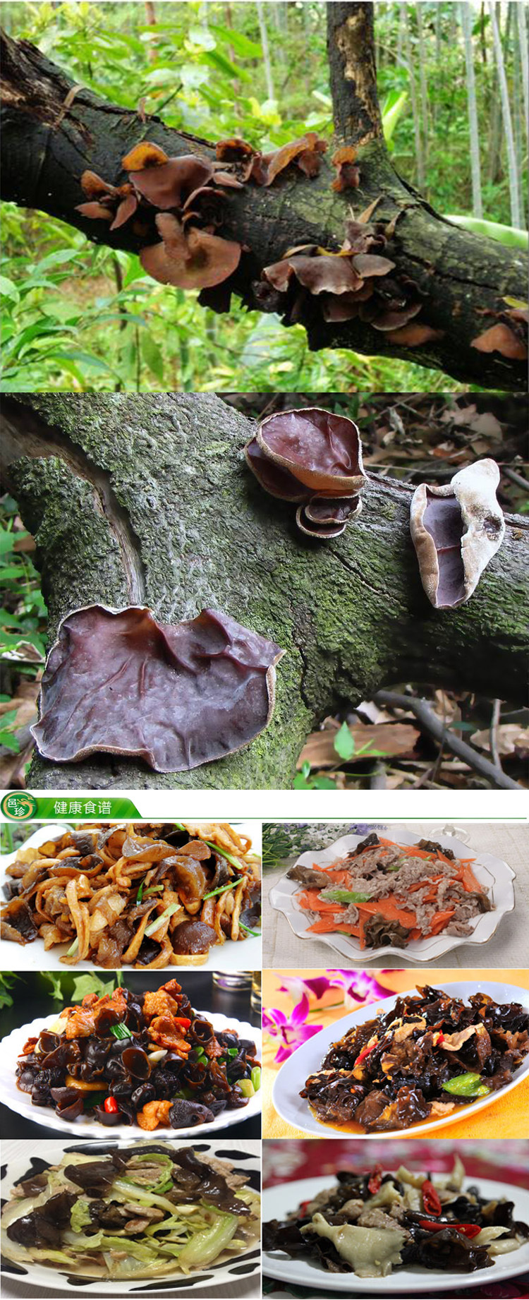 贲门癌需要补硒吗(补硒对癌症有什么好处)-硒宝网