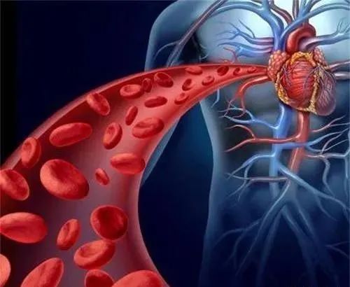 补硒能治新脑血管(硒心脑血管)-硒宝网