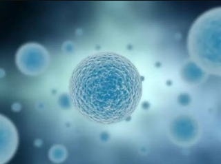 不同体质补硒的量(身体补硒有什么好处)-硒宝网