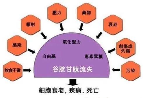 补硒提高免疫力吗(补硒增强免疫力)-硒宝网