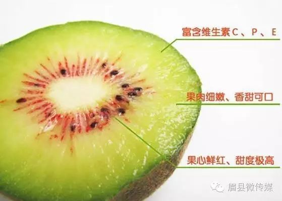 猕猴桃补硒的食物(猕猴桃含硒高不高)-硒宝网