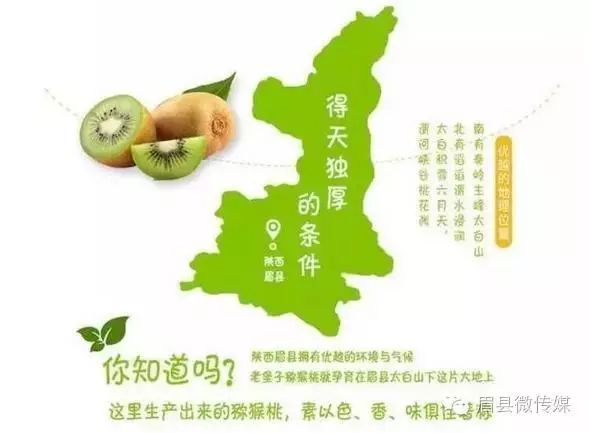 猕猴桃补硒的食物(猕猴桃含硒高不高)-硒宝网