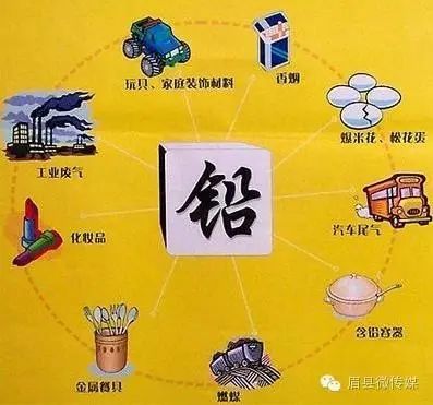 猕猴桃补硒的食物(猕猴桃含硒高不高)-硒宝网