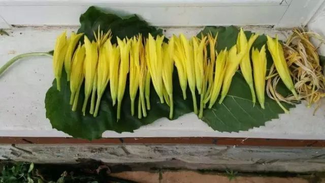 补硒和锌吃什么好（锌硒补充）-硒宝网