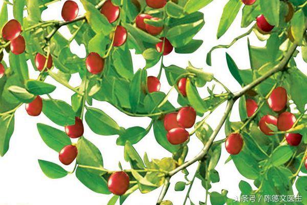 补硒后半夜总是醒（补硒后为什么失眠）-硒宝网