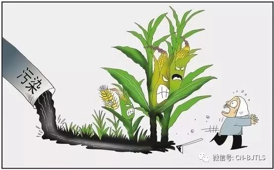 为什么人体要补硒(硒要补吗)-硒宝网