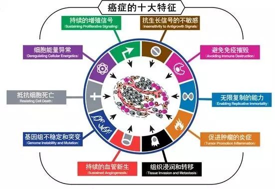 直肠癌补哪种硒好（补硒对肠癌有帮助吗）-硒宝网