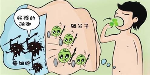 直肠癌补哪种硒好（补硒对肠癌有帮助吗）-硒宝网