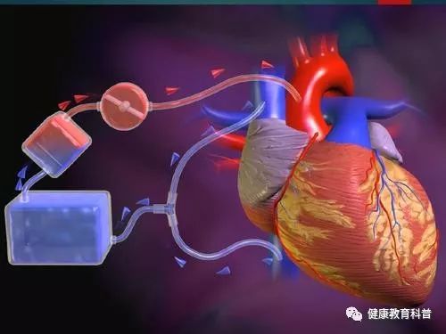 科学补硒心得体会(科学dv心得体会)-硒宝网