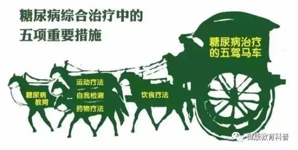 科学补硒心得体会(科学dv心得体会)-硒宝网