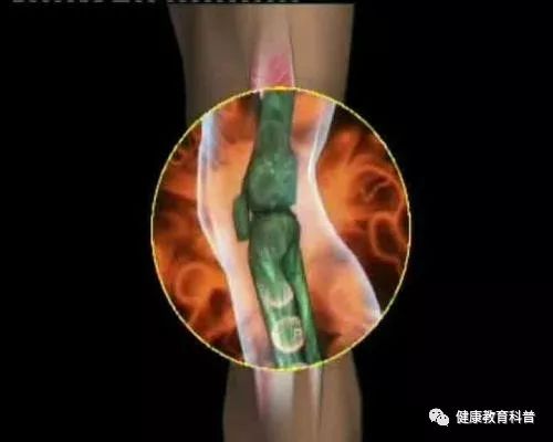 科学补硒心得体会(科学dv心得体会)-硒宝网