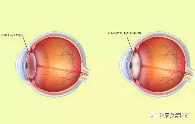 科学补硒心得体会(科学dv心得体会)-硒宝网