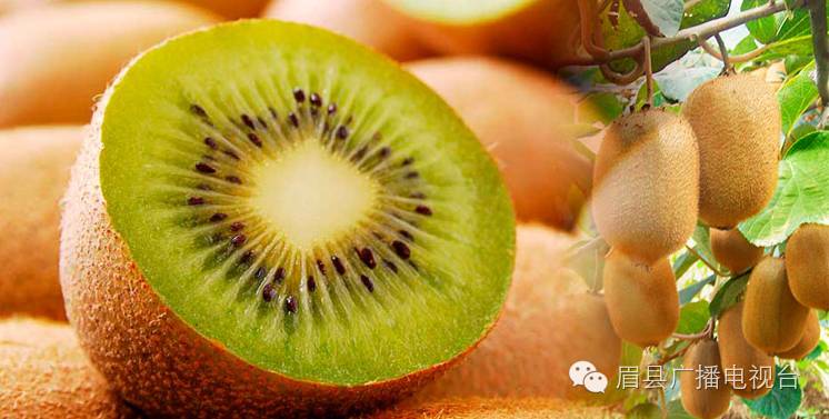 猕猴桃补硒的食物(猕猴桃补食物硒含量高吗)-硒宝网