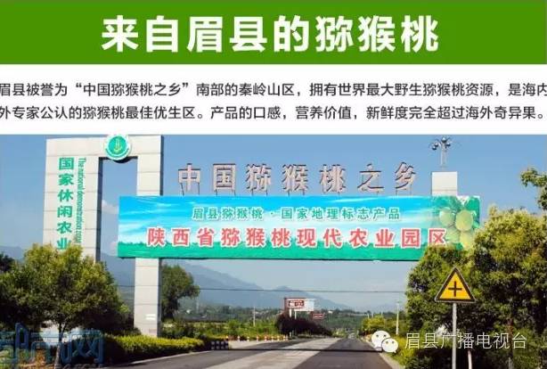 猕猴桃补硒的食物(猕猴桃补食物硒含量高吗)-硒宝网