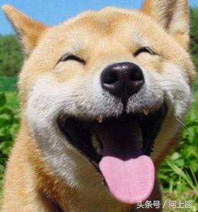 甲减补硒吃什么药(甲减吃硒片有啥作用吗)-硒宝网