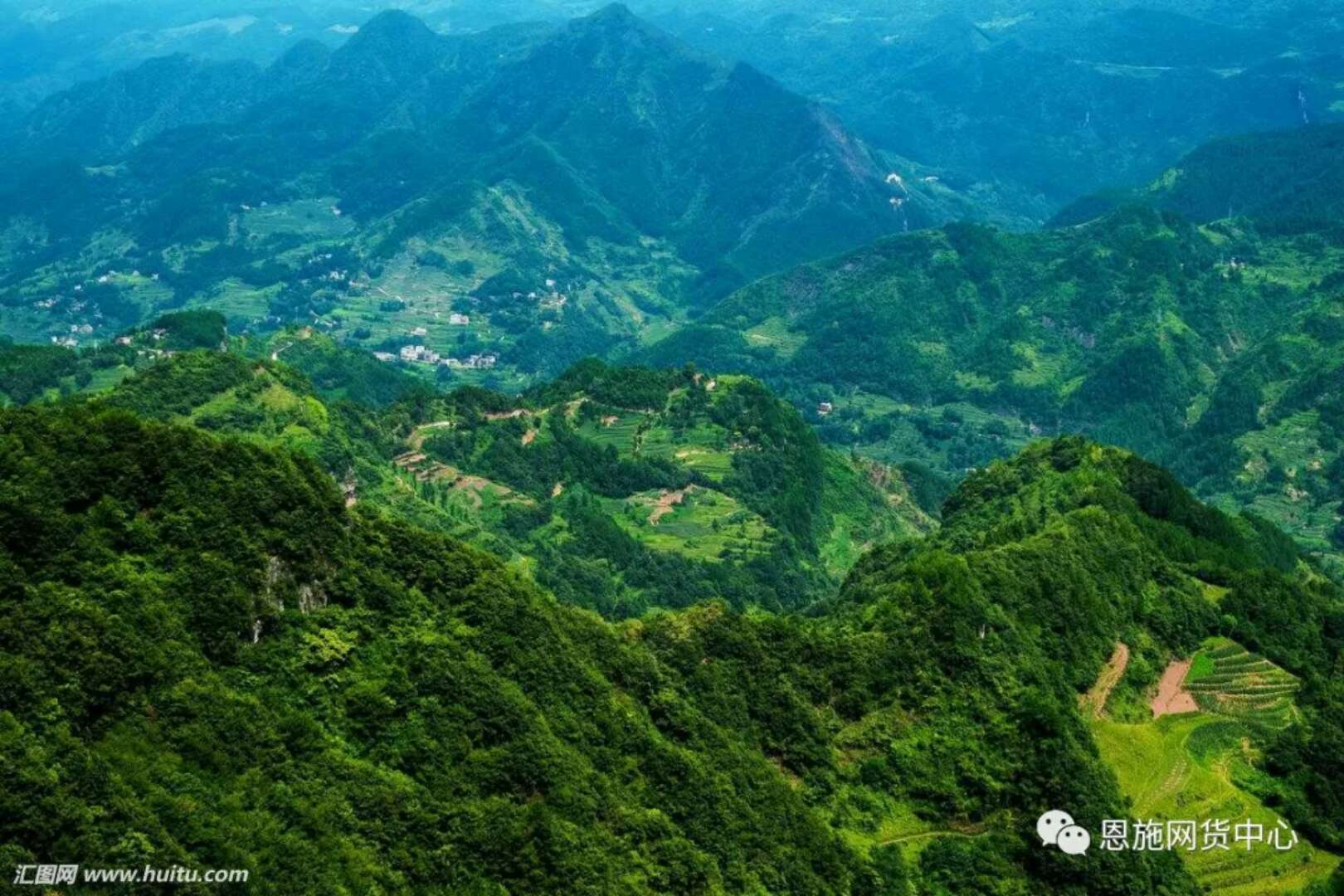 猕猴桃可以补硒吗(猕猴桃补硒可以长期吃吗)-硒宝网