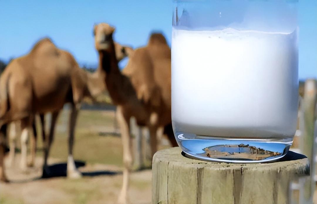 补硒能治攻心翻吗(补硒能治攻心翻吗)-硒宝网