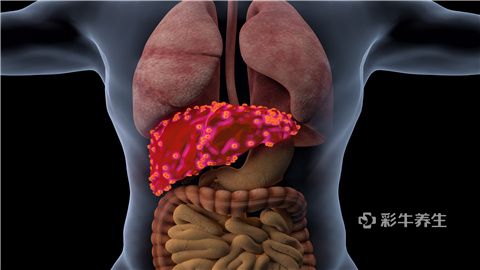 肝病患者补多少硒（补患者肝病硒片能吃吗）-硒宝网