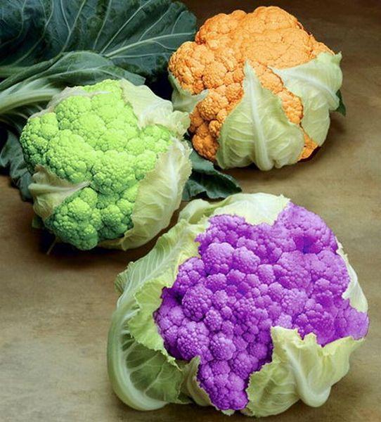 补硒黄曲霉素致癌（黄曲霉素致癌是什么癌）-硒宝网