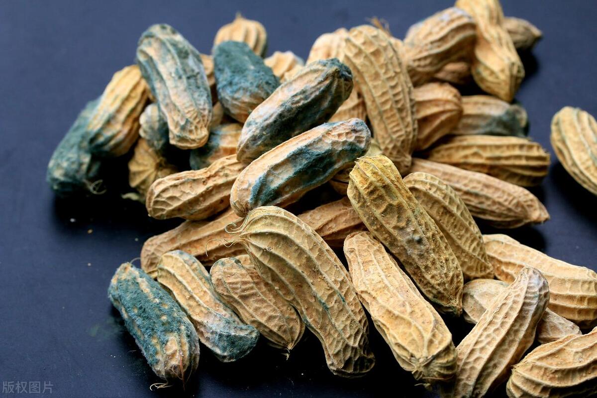 补硒黄曲霉素致癌(致癌的黄曲霉素)-硒宝网