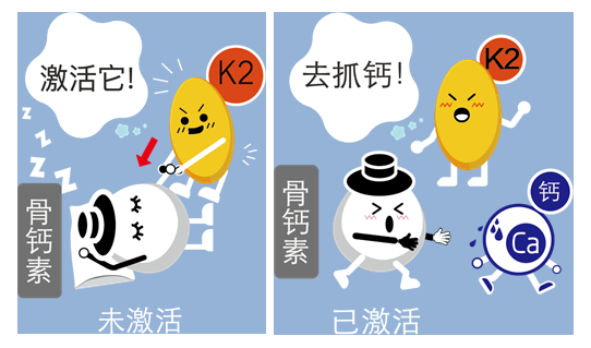 新生仔猪用补硒吗（仔猪补硒用什么药）-硒宝网