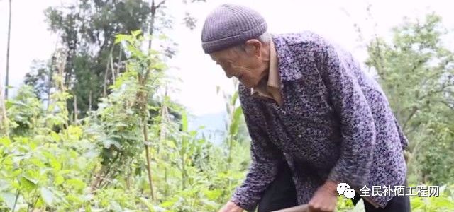 老年人补硒的好处(补硒可以提高老年人的健康水平)-硒宝网