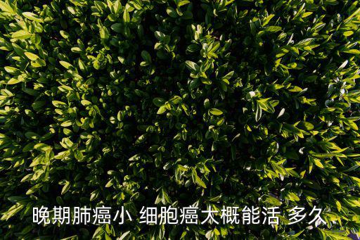 肺癌补硒延长寿命（寿命延长肺癌补硒有效果吗）-硒宝网