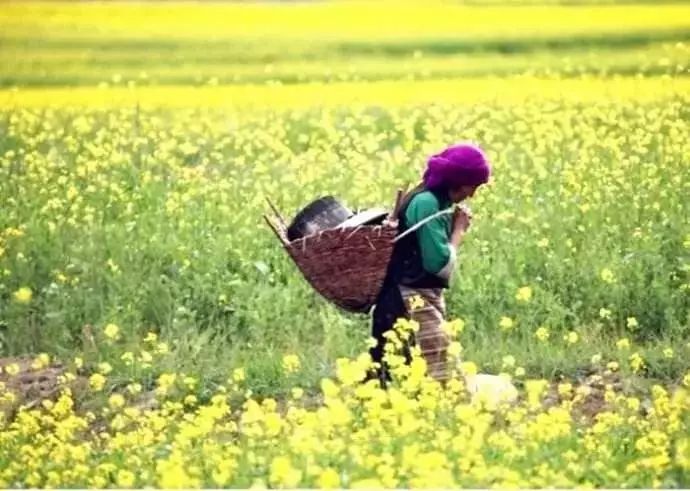 补硒月经期能吃吗（月经期间可以吃硒元素吗）-硒宝网