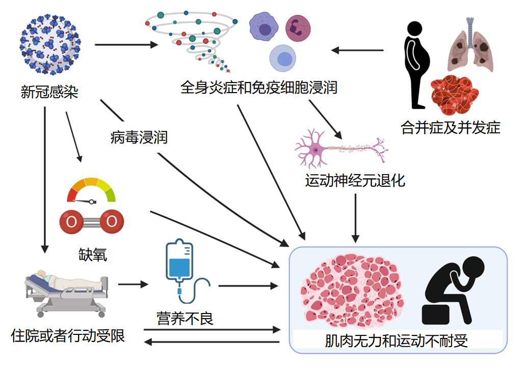 补硒可以抗新冠吗(关于补硒对抗新冠肺炎)-硒宝网