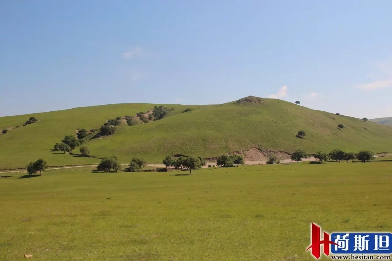 放牧的羊用补硒吗(给羊补硒)-硒宝网