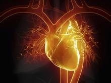 补硒可以治心血管(硒心血管)-硒宝网