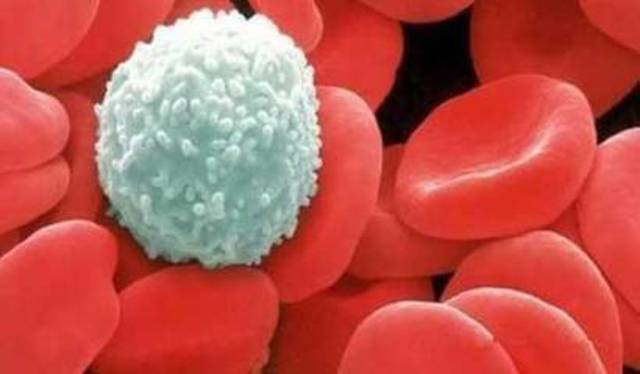 补硒口服液的课件(口服补充硒有用吗)-硒宝网