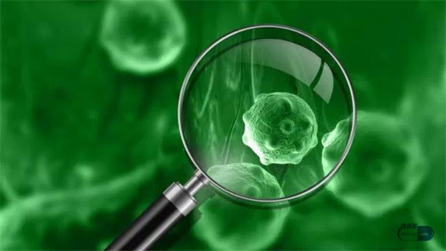 锌硒咀嚼片补什么(锌硒咀嚼片有什么用)-硒宝网