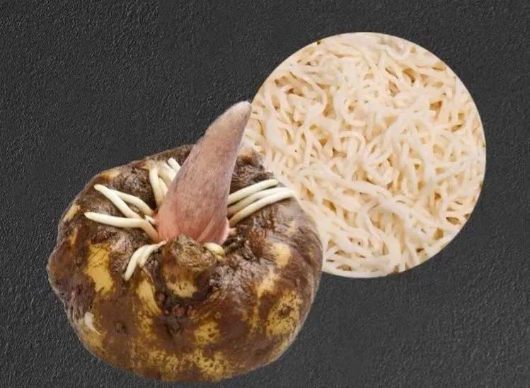 吃魔芋补硒可以吗(补魔芋吃硒可以补肾吗)-硒宝网