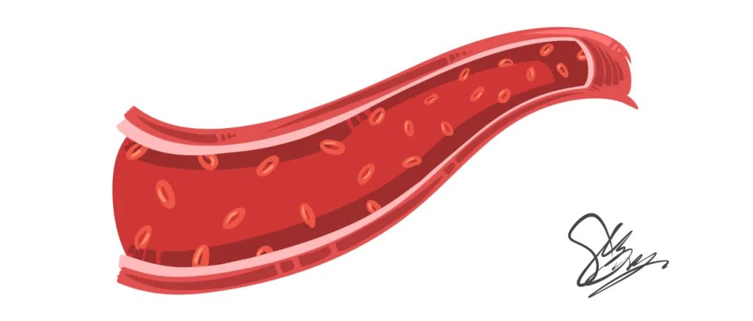 吃魔芋补硒可以吗(补魔芋吃硒可以补肾吗)-硒宝网