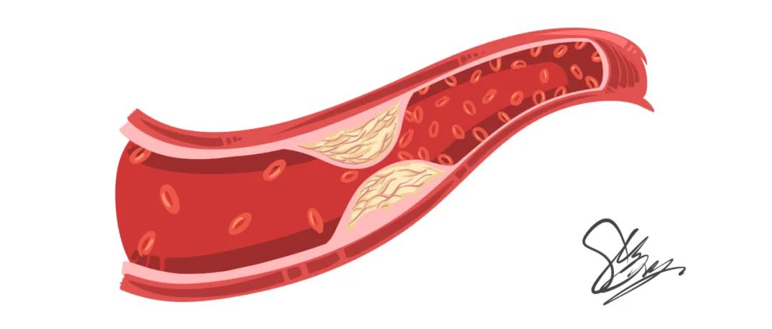 吃魔芋补硒可以吗(补魔芋吃硒可以补肾吗)-硒宝网