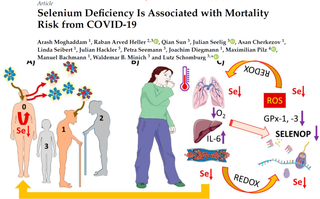 补硒可以抗新冠吗（硒对新冠的作用）-硒宝网