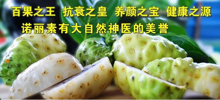硒能补感光材料吗(感光能补材料硒含量吗)-硒宝网