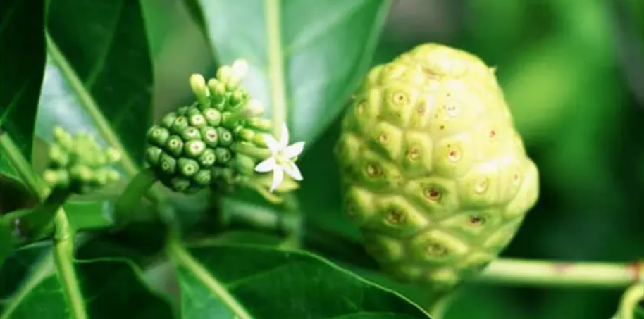 硒能补感光材料吗(感光能补材料硒含量吗)-硒宝网