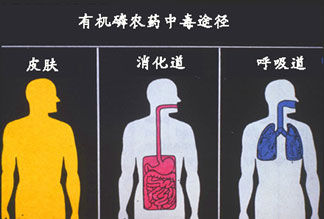 肝硬化补硒有用吗(肝硬化补硒用有副作用吗)-硒宝网